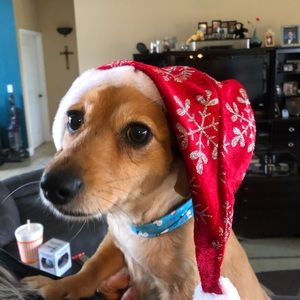 Meet your Posher, William